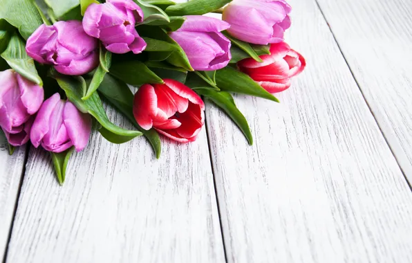 Картинка цветы, букет, colorful, тюльпаны, wood, flowers, tulips, spring