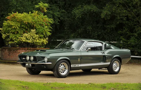 Картинка Ford Mustang, 1967, Muscle Car, Shelby GT350