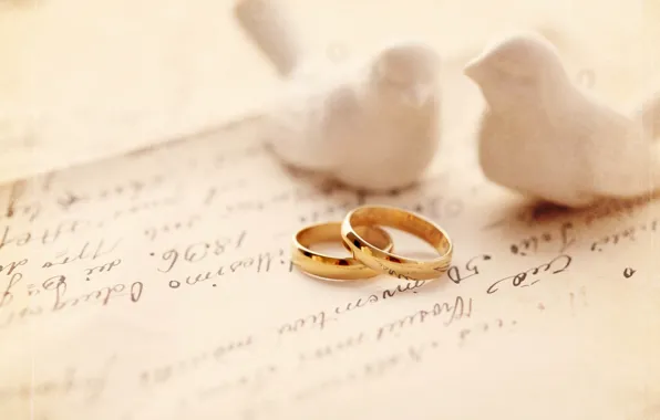 Пара, Обручальные кольца, свадьба, голубки