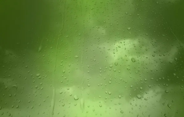Капельки, дождь, Зеленый фон