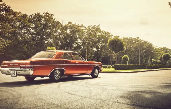 Фары, тень, Chevrolet, колеса, 1966, Impala, задний