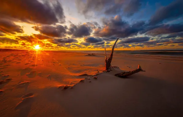 Картинка песок, море, пляж, небо, солнце, облака, свет, закат