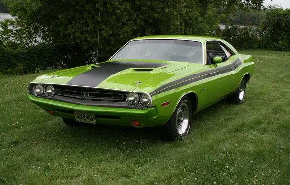 1971, Dodge, Challenger, Green