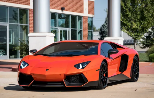 Картинка Lamborghini, Aventador, columns