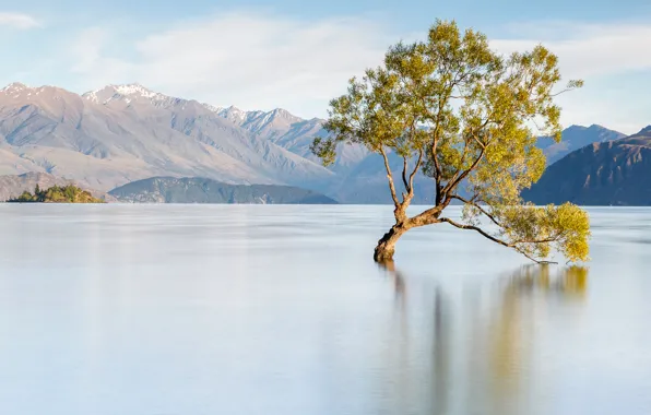Пейзаж, горы, дерево, Новая Зеландия, озеро Уанака, Ванака