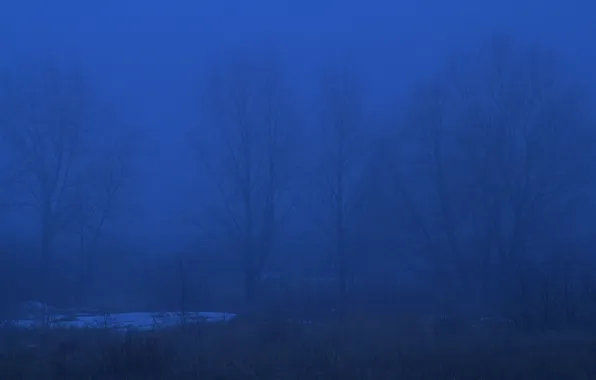 Снег, деревья, природа, туман, весна, вечер, Россия, сумерки
