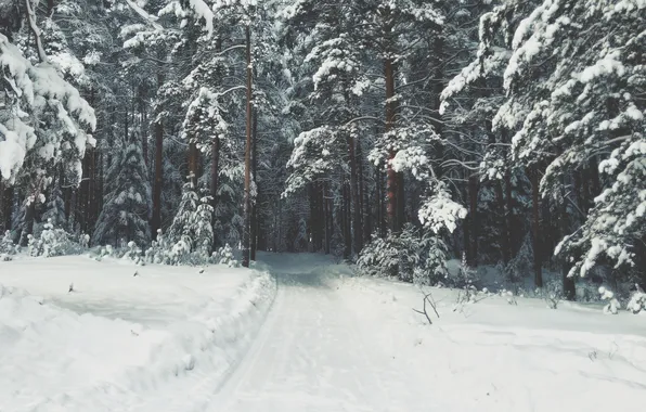 Зима, дорога, лес, снег, деревья, сугробы