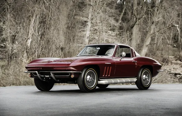 Corvette, Chevrolet, шевроле, 1965, Stingray, корветт