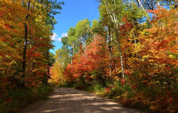 Картинка дорога, осень, лес, небо, деревья