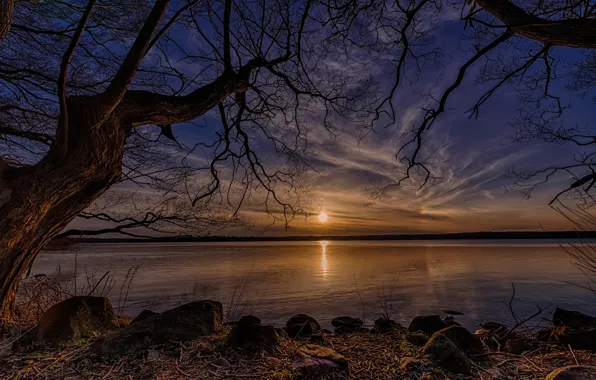 Картинка солнце, деревья, озеро, Дания
