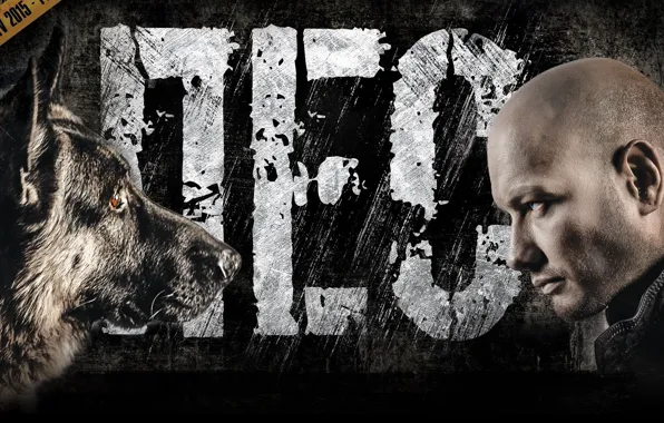 Обои Профиль, Сериал, Постер, Овчарка, Пес, Телесериал, Никита.