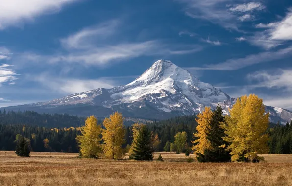 Картинка осень, лес, небо, облака, гора, США, штат Орегон, Маунт-Худ