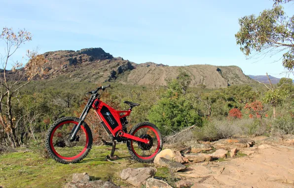 Hybrid, Stealth, Mountain Bike, Electric's Motorcycle