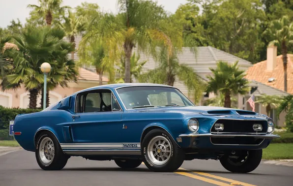 Картинка Shelby, muscle car, Fastback, 1968, GT 500 KR