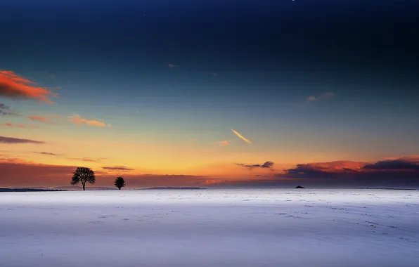 Картинка поле, снег, деревья, рассвет, луна, горизонт