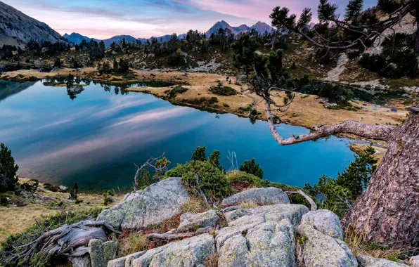 Деревья, горы, озеро, камни, скалы, Франция, Pyrenees, Aragnouet