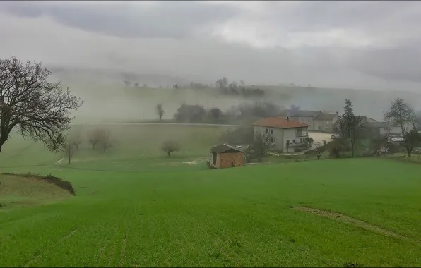 Картинка трава, деревья, туман, дом, утро, Италия, Кампанья