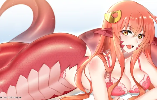 Девушка, монстр, существо, Monster Musume no Iru Nichijou