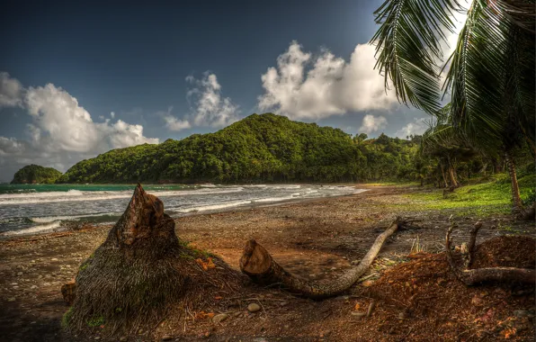 Картинка пляж, деревья, Залив, Карибы