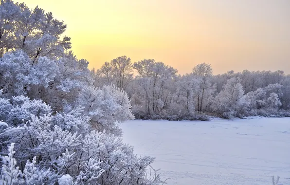 Картинка зима, поле, снег, деревья, пейзаж, закат, природа