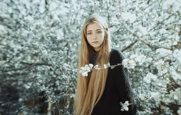 Картинка нежность, весна, девочка, цветение, рыжеволосая, свитер