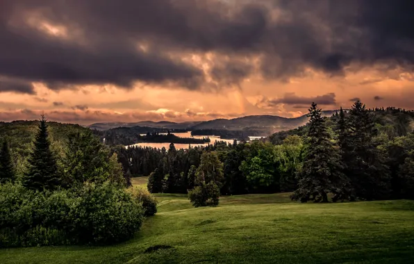 Картинка лес, деревья, тучи, природа, река