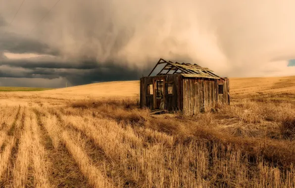 Картинка поле, тучи, природа, дома