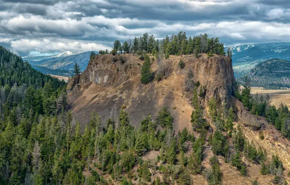 Лес, облака, деревья, горы, скалы, США, Yellowstone National Park