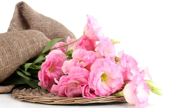 Цветы, розовые, fresh, pink, flowers, bouquet