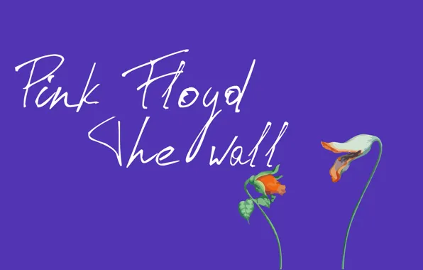 Цветы, сиреневый, Pink Floyd, The wall