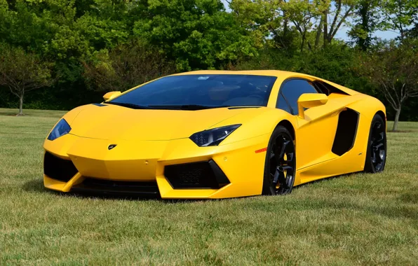 Картинка lamborghini, yellow, aventador, lp700-4