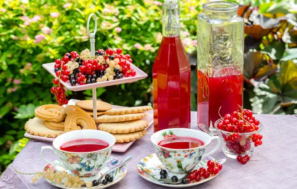Картинка чашка, бутылка, печенье, морс, смородина, лето