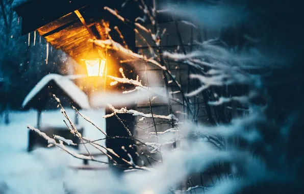 Картинка зима, свет, снег, ветки, природа, дом, фонарь