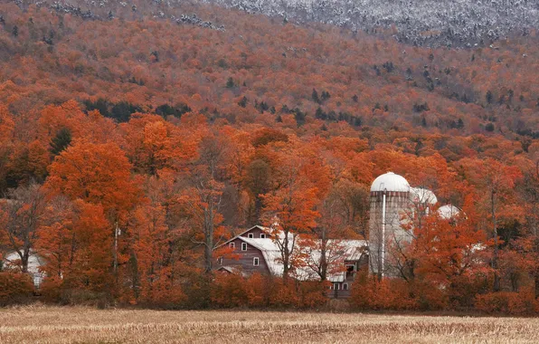Картинка осень, ферма, вермонт