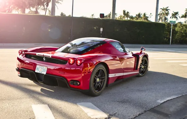 Ferrari, Red, Enzo, sun