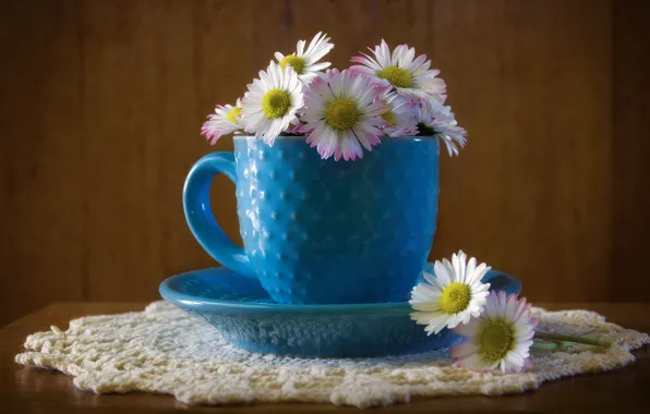 Цветы, стол, фон, ромашки, кружка, чашка, белые, натюрморт