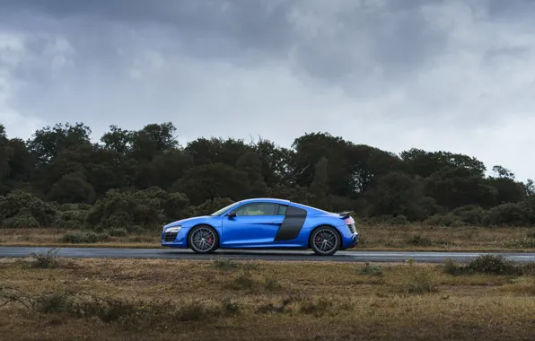 Картинка Audi, side view, R8, Audi R8 LMX