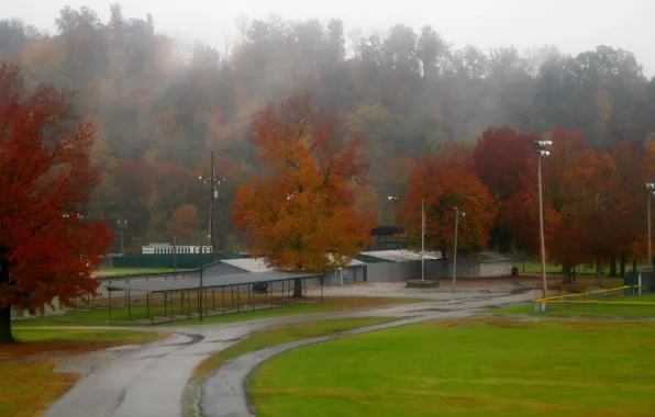 Картинка Rain, Fall, Trees, Дорога, Road, Autumn, Деревья, Дождь