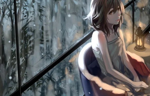 Картинка девушка, растения, аниме, окно, арт, фонарь, kuroduki