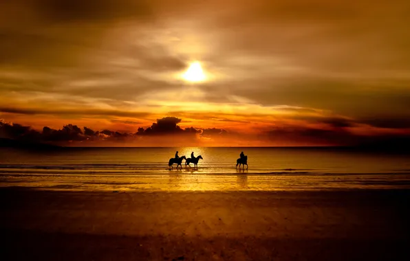Картинка море, закат, природа, кони, всадники