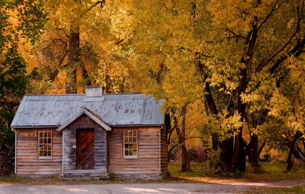 Картинка дорога, осень, листья, дом