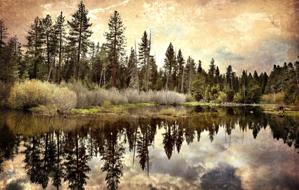 Картинка лес, природа, озеро