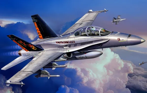 Картинка штурмовик, McDonnell Douglas, F/A-18D, американский палубный истребитель-бомбардировщик, Hornet Wild Weasel, двухместный учебно-боевой вариант F/A-18C