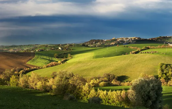 Картинка поле, осень, небо, облака, деревья, Италия, синее, поселок
