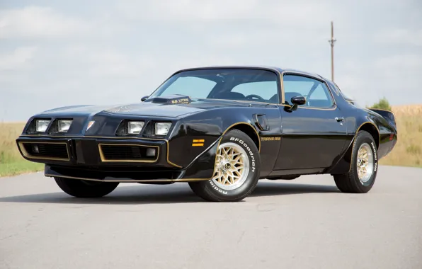 Black, Pontiac, 1979, Trans