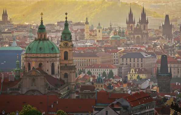 Картинка город, туман, здания, дома, красота, утро, крыши, Прага