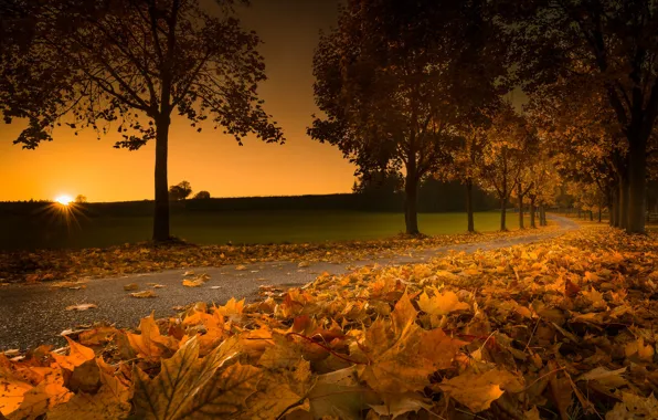 Картинка дорога, осень, листья, деревья, закат, листва, Австрия