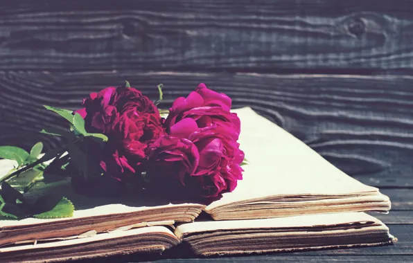 Картинка розы, vintage, wood, flowers, beautiful, purple, book