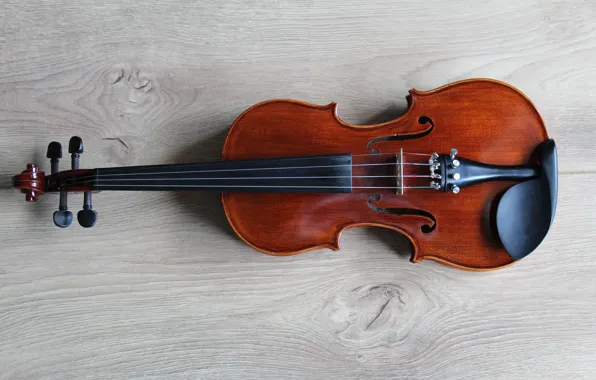 Music, Violin, Instrument, Lucia Macedo