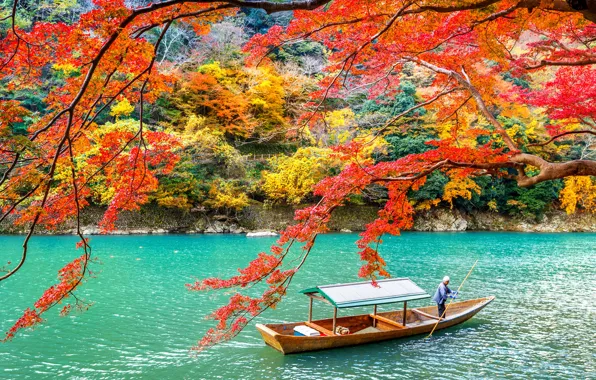 Картинка осень, листья, деревья, парк, Japan, Kyoto, nature, park